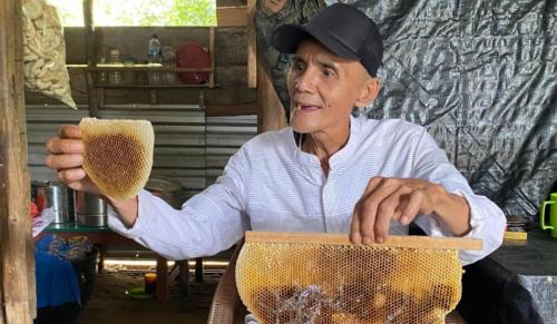 Semangat Bustam dan Jejak Medco dalam Manisnya Madu Emas Aur Duri